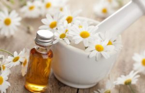 Roman Chamomile oil