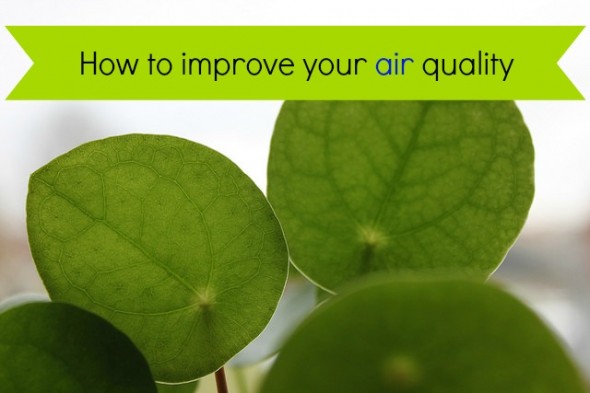 improve-air-quality-590x393