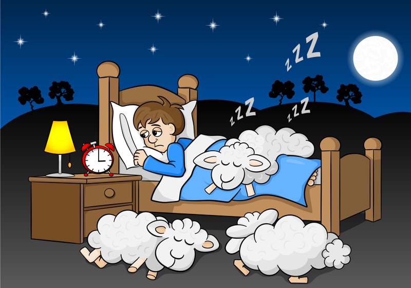 vector illustration of sheep fall asleep on the bed of a sleepless man