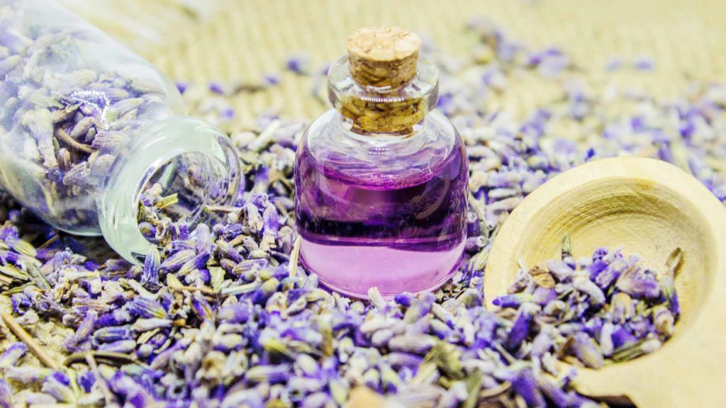 lavender-essential-oil-natural-health-benefits-anxiety-insomnia-period-pain